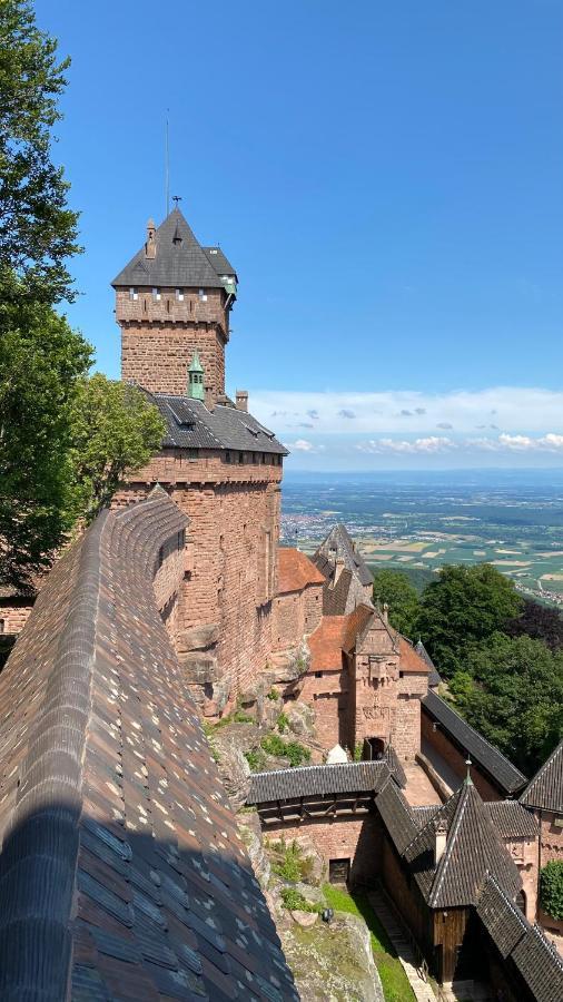 La Araucania, 2 Personnes - Wifi Rombach-le-Franc エクステリア 写真